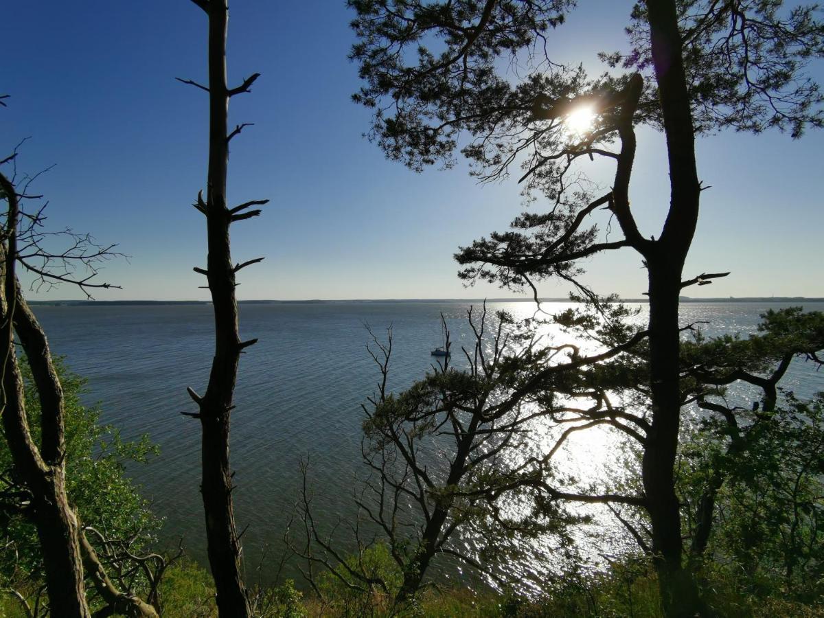 Apartment Waldblick Vom Naturhof Usedom Bannemin المظهر الخارجي الصورة