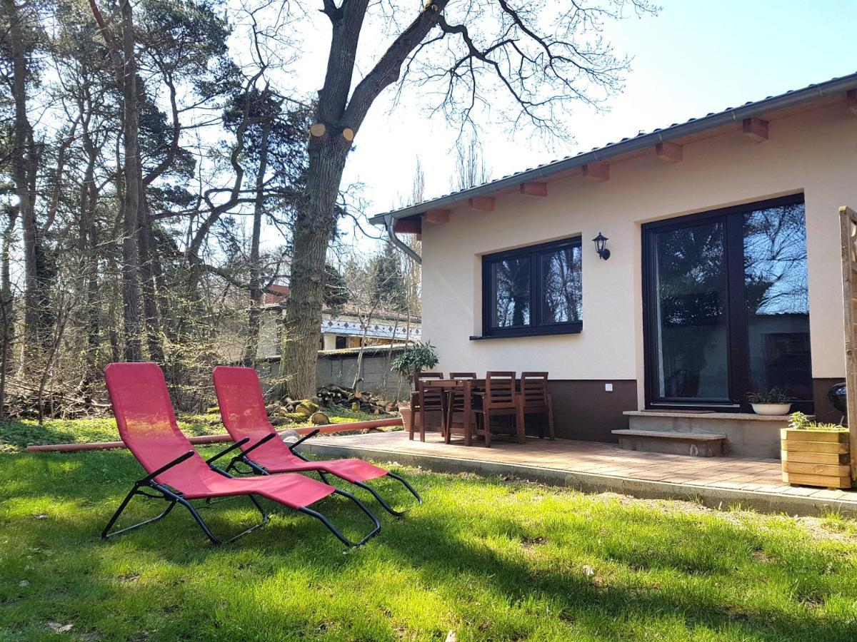 Apartment Waldblick Vom Naturhof Usedom Bannemin المظهر الخارجي الصورة